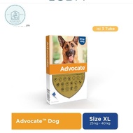 (Elanco) Advocate For Xtra Large Dog 40kg-up