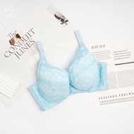 [Rizo Underwear] MIT Warm Flower Order Stable Support Large Cup Underwear C-G (Blue) A211317W34 131 