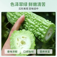 Green Ruyi Bitter Gourd Seeds Heat-Resistant Dry-Resistant Early Cooked Bitter Gourd Meat Four Seaso