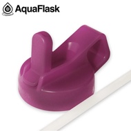 Aquaflask Sorbet Pink Cube Handle Strawlid Cap Tumbler Water Bottle (fit to 14,18,22,32,40,64oz)