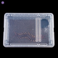 Reptile Small Snake Feeding Box Lizard Tarantula Living Cage Hatching Container for Lizard Gecko Pet