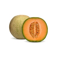 Fresh Fruit Rock Melon 1 piece (± 2.0kg-2.5kg)