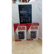battery discharge 6v 4.5AH
