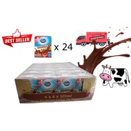 DL Mini Chocolate 125ml x 24 pcs