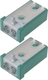 The Lord of the Tools Pack of 2 40 Amp 32 Volt Socket Fuse Green Replacement Part 5218979 Compatible