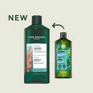 Yves Rocher france 海藻淨化控油洗髮露 300ml