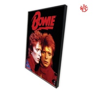 DAVID BOWIE POSTER MUSIC POSTER/ HOME DECOR 512