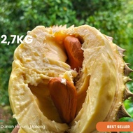Durian montong utuh Cane Singaraja Bali 2,7kg