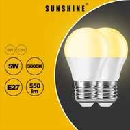 LED燈膽 5W / E27大螺頭 / 黃光3000K [2件優惠裝] LED燈泡 | LED球膽 | LED球泡 (LGT-5E27W-D)