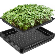 USECOAT 10Pcs No Holes Plant Growing Trays Reusable Plastic Bonsai Flowerpot Tray Sprout Hydroponic Systems Durable Propagation Tray lings