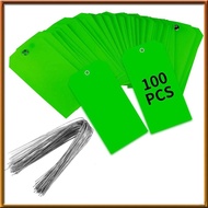 [chasoedivine.] 100 Pieces 4 3/4Inch X 2 3/8Inch Plastic Shipping Tags with Wires Blank Labeling Tag