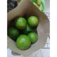 Buah limau nipis kampung 1kg rm9
