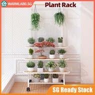 （SG STOCK）Plant Rack Flower Pot Stand Flower Rack Multi-Layer Plant Stand Indoor/Outdoor Display Plant Rack