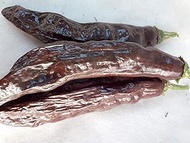 Seeds semi chili pepper aji amarillo + aji bench + cultivation guide : Seeds Only