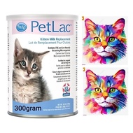 Exp:2026 Sept / 300g PetAg PetLac Kitten Milk Replacer 300gram 10.5oz Powder Pet Lac Kittens Kmr 340