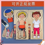 [Sunnimix1] Human Body Puzzle Human Body Parts Puzzle for Children Preschool Toddlers