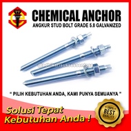 Chemical Anchor Anchor Stud/ Bolt Chemsud/ Anchor Grade 5.8Bolt
