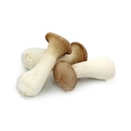 KING OYSTER MUSHROOM 1 PKT