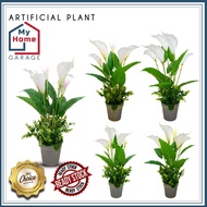 Calla Lily Plant Artificial Plant Bunga Hiasan Lili Artificial Flower Pokok Hiasan Rumah