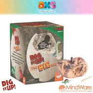 Mindware Dig It Up The Big Egg Educational Learning Toys 13933561