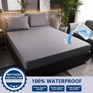 Waterproof Mattress Protector Smooth Mattress Cover Fitted Bed Sheet Bed Mattress Topper Bed Sheet Cover