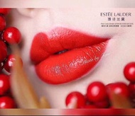 雅詩蘭黛唇膏304#