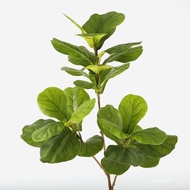 Fiddle Leaf Fig Photography Fork Decoration Home Wholesale Large Green Plant3Ficus Leaf Artificial P