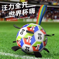 Pet Toy Ball 2026 World Cup Same Style Ball Dog Outdoor Toy Molar Bite-Resistant Football Pet Dog Tr