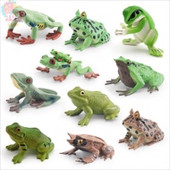 Children's Toys Simulated Wild Animal Model Triangular Dead Leaf Frog Red-Eyed Tree Frog Darwin Frog
