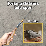 Diras water catfish fishing rod