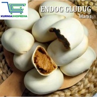 Kue Nopia Endog Bulus Endog Gludug  Packing Lapis Kardus
