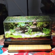 Feng Shui Terrarium "MOC LANDSCAPE" - The Soul of the Green Forest Shrinks in Your Home