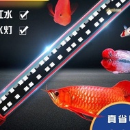 Taiwan [Fish Light/Accessories] Aquarium Horse Seal Light Arowana Fish LED Waterproof Tank Accessori