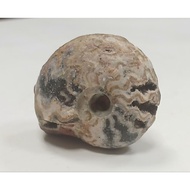 ~~ star~Flame Ammonite (Indonesian Ammonite)~Weight About 28 Grams~Ammonite Fossil~