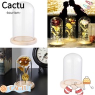 CACTU Glass cloche Home Decor Fairy Lights Glass Vase Jar Transparent Bottle Flower Storage box