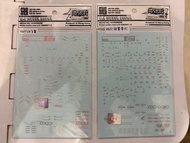 RG 07 Wing EW &  RG 22 Wing Gundam Zero 水貼