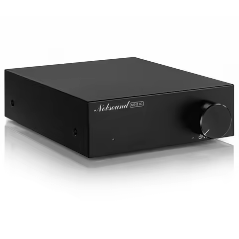 Douk Audio NS-21G Mini 100W Subwoofer Amplifier Digital Mono Channel Audio Amp Home Desktop Amp
