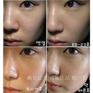 Korean Original Authentic Priya Magic Herbal BB Cream PRIVIA Repairing BB Cream about U Concealer St