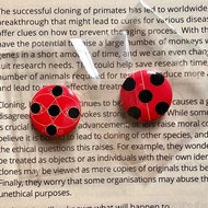 Miracle Girl ladybug ladybug ladybug Amulet 83cm Bar Chirp Pair DA9Y