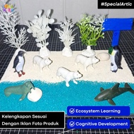 Diorama package model animal artic polar animal diorama bioma tundra