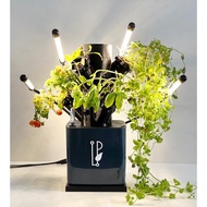LifePlantz Home Kit Hydroponics Grow Kit | Gardening | Aeroponic Tower |