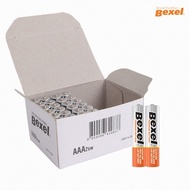 Bexel alkaline bulk AAA 24-cell battery (domestic)