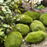 TT103- STONE GROSS - size 3cm, 6cm, 8cm Can be used in water environments, used to decorate miniatur