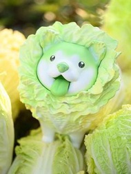 全新特價 超大尺寸 動物星球 × dodowo 第3彈 蔬菜精靈 白菜狗 潮玩 手辦 figure 盲盒 SHF Bandai Medicom 搪膠  labubu molly