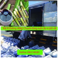 Mật rỉ đường Bio. Can 40kg