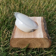 Beetle Jelly Table Pet Food Table Single Hole Double Hole Solid Wood Durable Beetle Stag Beetle Adul