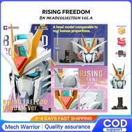 Bandai RISING FREEDOM BN Head Collection VOL.4 Ascending Freedom Avatar Head toy