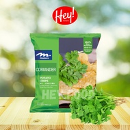 💥💥[LOWEST PRICE]💥💥 MEADOWS Coriander Potato Chips (60g) 芫荽味薯片