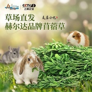 Helda Alfalfa Grass Fresh Pasture Rabbit Hay Grass Food Alfalfa Grass Rabbit Guinea Pig Chinchilla F