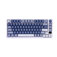 【RK】M75 75% 藍牙三模無線機械鍵盤 K黃軸 RGB海洋 中文